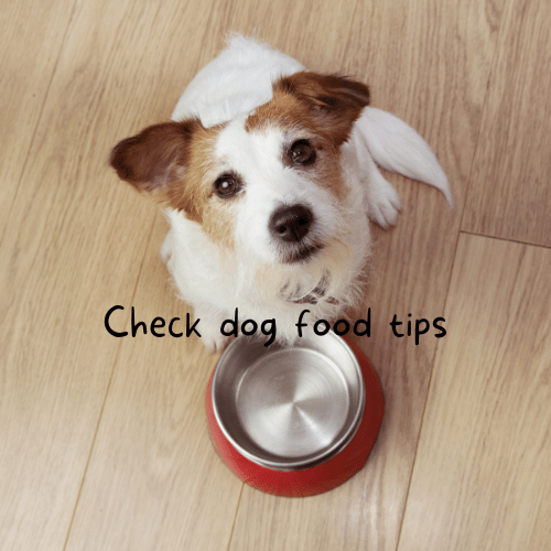 Barky Supplies Expert Tips Choosing the Right Dog Food: Essential Tips and Methods Find out how to analyze and evaluate your dog food effectively. Get valuable insights and make informed choices for your furry friend.