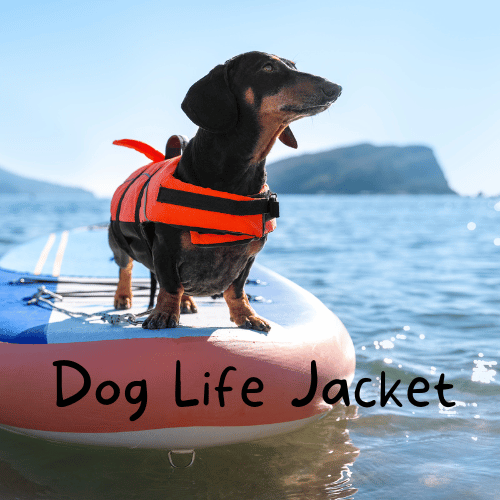 Dog Life Jacket Why Your Dog Needs a Life Jacket This Summer