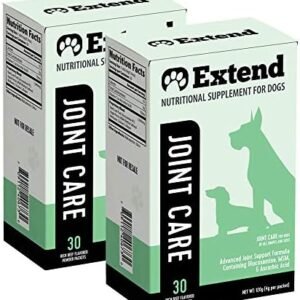 dog supplements for joints