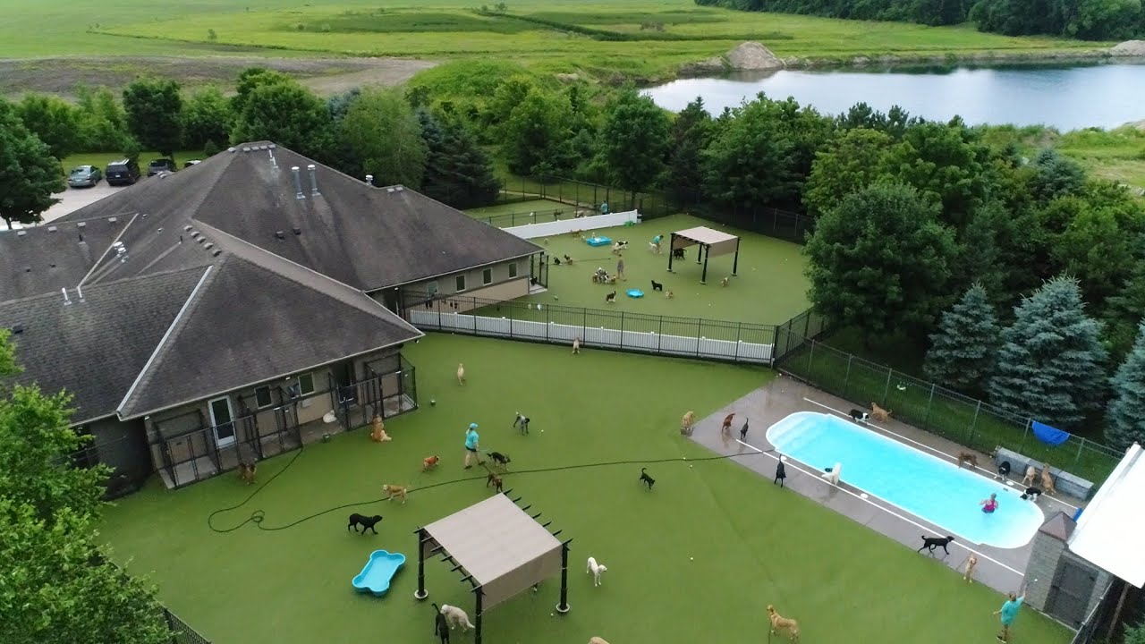 Barky Supplies Expert Tips