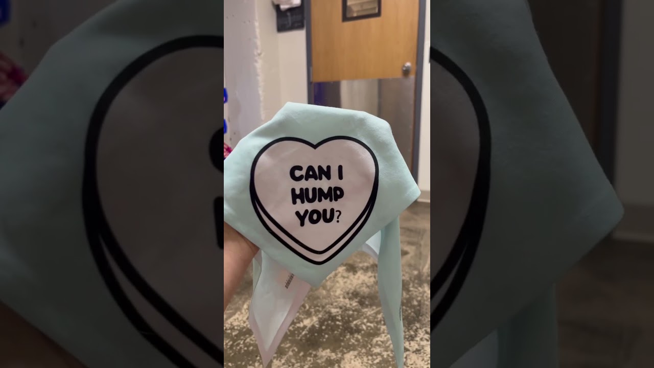 Barky Supplies Expert Tips