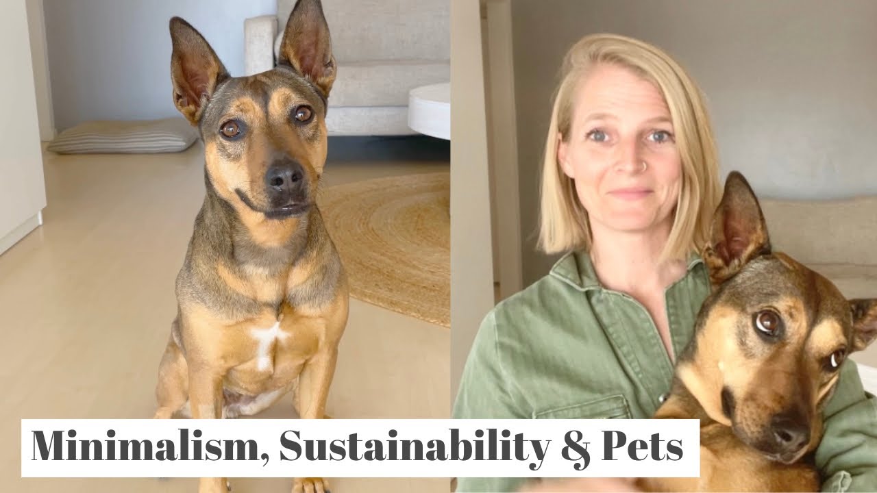 Barky Supplies Expert Tips Unleash Eco-Friendly Love: Sustainable Dog Care Tips Barky Supplies Expert Tips