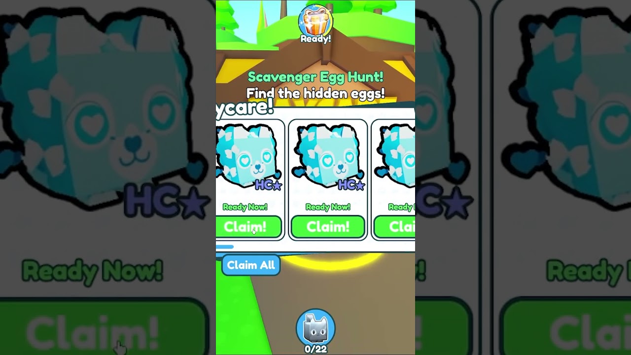 Barky Supplies Expert Tips