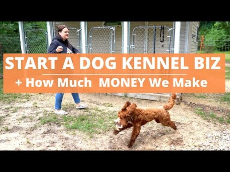 Barky Supplies Expert Tips Start a Dog Kennel Business- HOW MUCH WE ARE MAKING! & Ups and Downs... 1693089706 hqdefault Barky Supplies Expert Tips