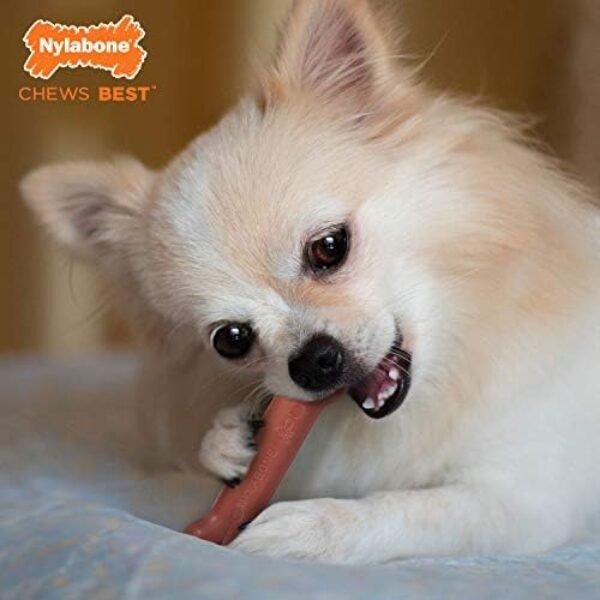 41Yt1XYem3L._AC_.jpg Nylabone Power Chew Flavored Durable Chew Toy for Dogs Bacon X-Small/Petite (1 Count)