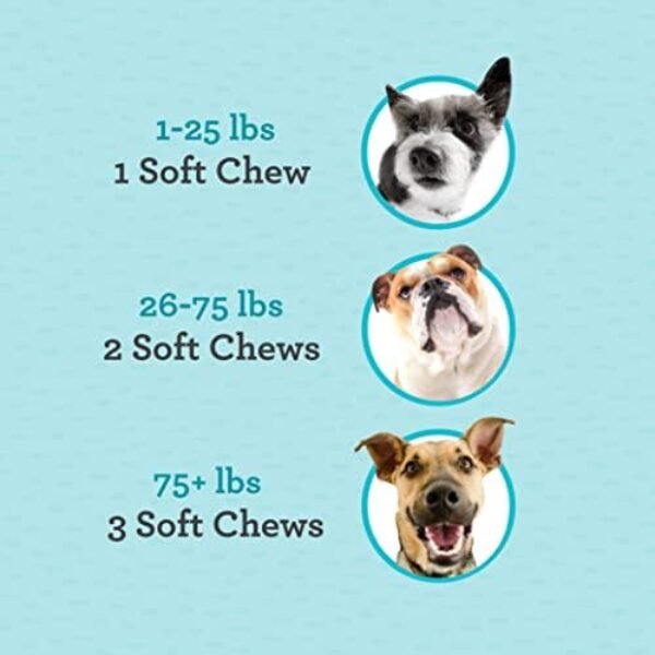 41npQcqwRL._AC_.jpg Hip & Joint Supplement for Dogs, 33% More 120 Soft Mobility Chews Glucosamine Chondroitin, Collagen, Turmeric, Hyaluronic Acid, Flaxseed, Vitamin C & E, for Small & Large Breeds, Vet Recommended