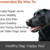 41siwED8jyL._AC_.jpg Premium Liquid Glucosamine Hip and Joint Supplement for Dogs - Fast Natural Arthritis Pain Relief and Better Mobility - Extra Strength with Chondroitin MSM and Hyaluronic Acid. Made in USA 16oz.