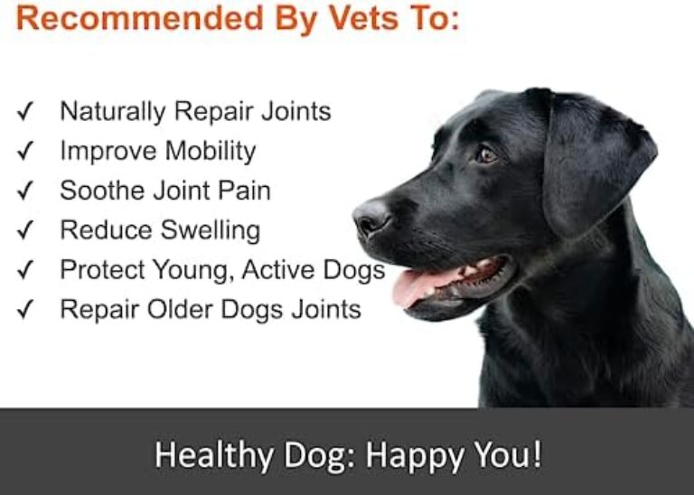 41siwED8jyL._AC_.jpg Premium Liquid Glucosamine Hip and Joint Supplement for Dogs - Fast Natural Arthritis Pain Relief and Better Mobility - Extra Strength with Chondroitin MSM and Hyaluronic Acid. Made in USA 16oz.