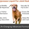 51BBoYZ6nL._AC_.jpg Premium Liquid Glucosamine Hip and Joint Supplement for Dogs - Fast Natural Arthritis Pain Relief and Better Mobility - Extra Strength with Chondroitin MSM and Hyaluronic Acid. Made in USA 16oz.