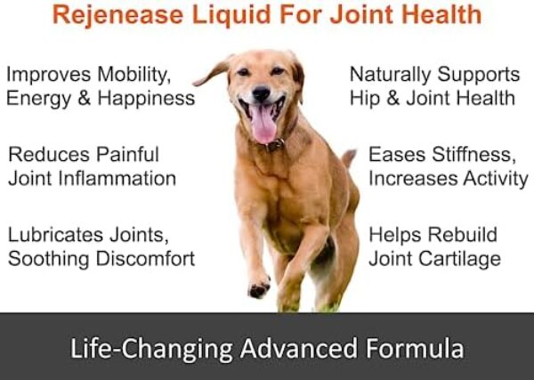 51BBoYZ6nL._AC_.jpg Premium Liquid Glucosamine Hip and Joint Supplement for Dogs - Fast Natural Arthritis Pain Relief and Better Mobility - Extra Strength with Chondroitin MSM and Hyaluronic Acid. Made in USA 16oz.
