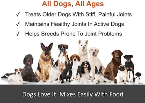 51Y7keqC02L._AC_.jpg Premium Liquid Glucosamine Hip and Joint Supplement for Dogs - Fast Natural Arthritis Pain Relief and Better Mobility - Extra Strength with Chondroitin MSM and Hyaluronic Acid. Made in USA 16oz.