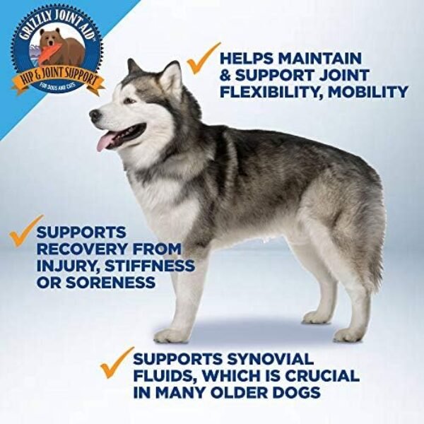 51mQzHjIA2L._AC_.jpg Grizzly Joint Aid for Dogs Liquid Hip and Joint Support (Extra Strength), 32 fl oz