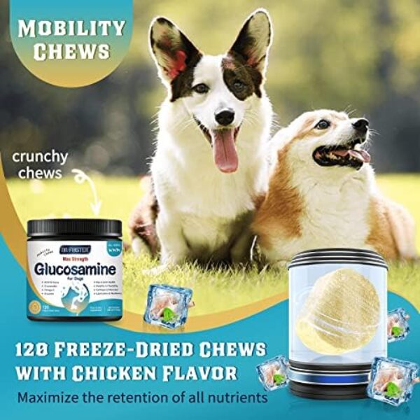 Glucosamine for Dogs, Hip and Joint Supplement for Dogs with Chicken Flavor, Anti Inflammatory, Dog's Chondroitin, Digestive Enzymes, Omega-3, Vitamin D, MSM, Calcium, Turmeric, 120 Freeze-Dried Chew