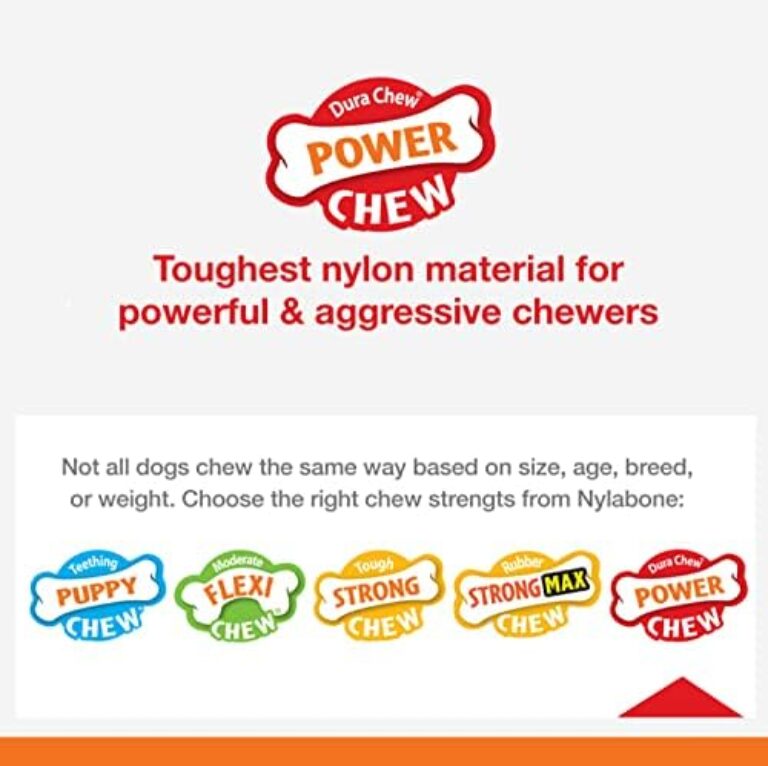 51zuSyMOmVL._AC_.jpg Nylabone Power Chew Flavored Durable Chew Toy for Dogs Bacon X-Small/Petite (1 Count)