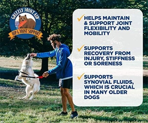 613lKokrqOL._AC_.jpg Grizzly Joint Aid for Dogs Liquid Hip and Joint Support (Extra Strength), 32 fl oz