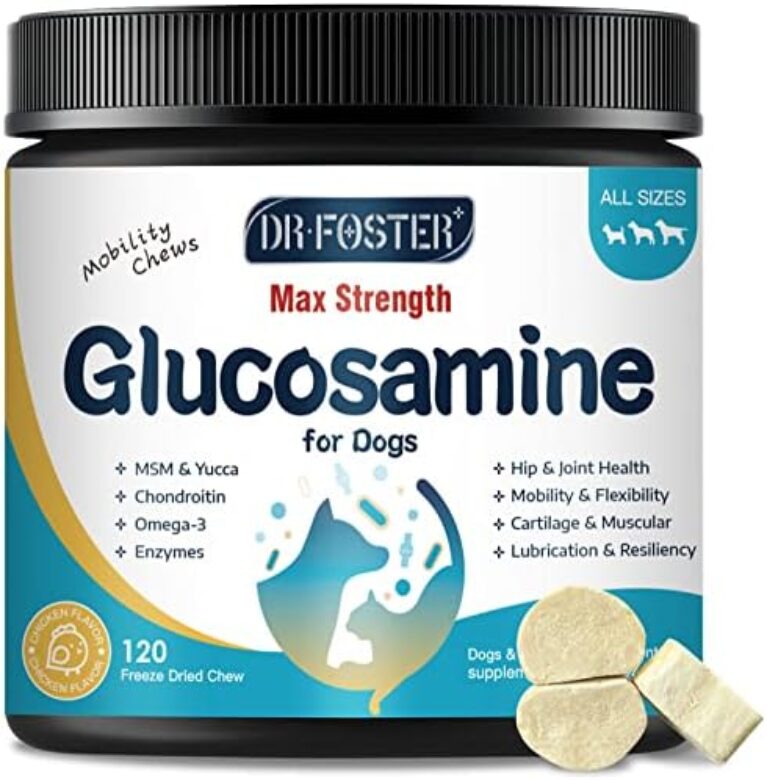 dog supplements for joints