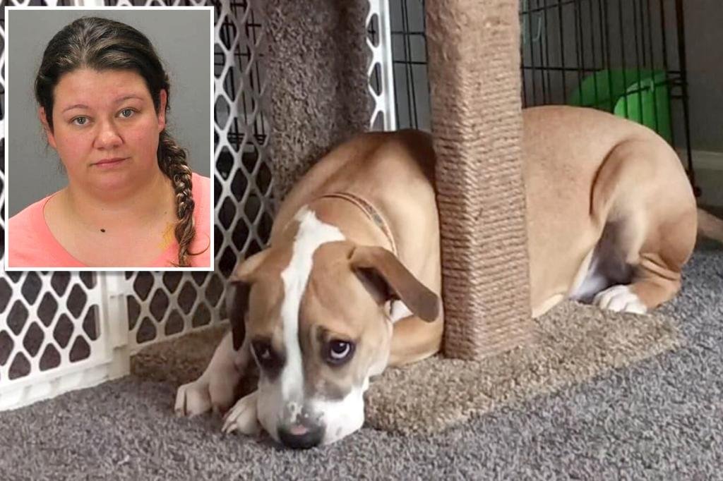 Barky Supplies Expert Tips Woman charged with performing sex act on her dog after ex-boyfriend finds disturbing footage NYPICHPDPICT000020298459 Barky Supplies Expert Tips