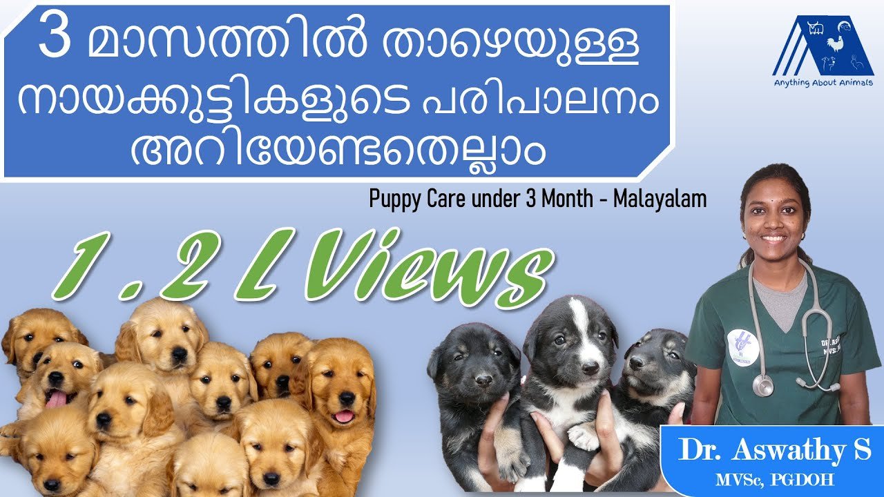 Barky Supplies Expert Tips Dr. Aswathy's Puppy Care Guide in Malayalam (0–3 Months!) Barky Supplies Expert Tips