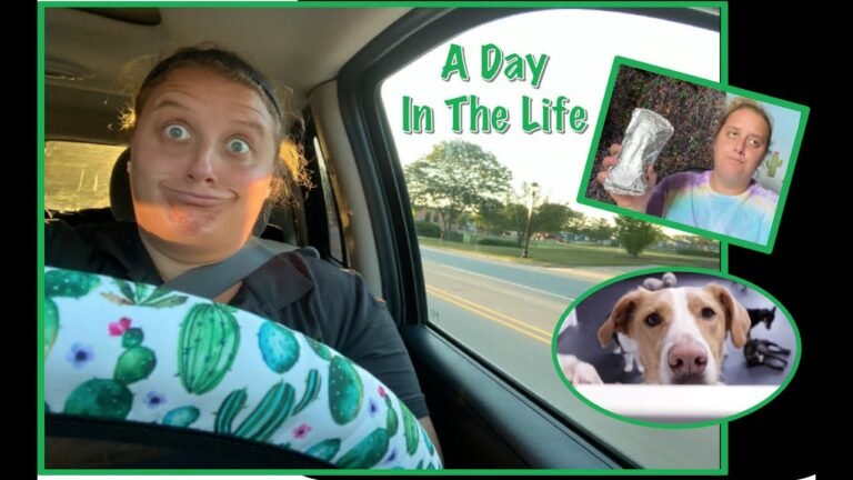 1695510526 maxresdefault Barky Supplies Expert Tips