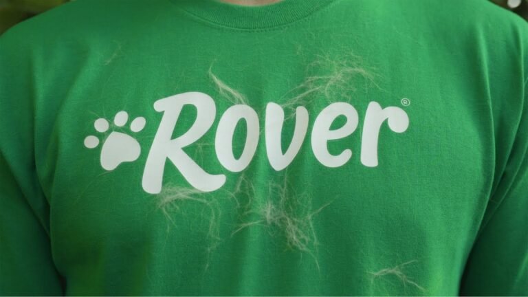 Barky Supplies Expert Tips Rover's Guide to Real Pet Care at Home Real Pet Care Tips