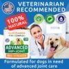 514xq2ZeN9L._AC_.jpg Glucosamine Dog Treats - Senior Advanced Joint Health w/Chondroitin, Omega-3 - Old Dog Joint Pain Relief Supplement - Hip & Joint Care - Made in USA - Bacon Flavor - 120 Soft Chews