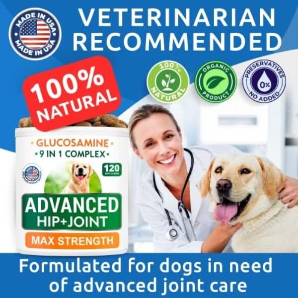 514xq2ZeN9L._AC_.jpg Glucosamine Dog Treats - Senior Advanced Joint Health w/Chondroitin, Omega-3 - Old Dog Joint Pain Relief Supplement - Hip & Joint Care - Made in USA - Bacon Flavor - 120 Soft Chews
