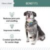 515vyZ6FUlL._AC_.jpg Senior Hip and Joint for Dogs - 120 Soft Chew Treats - Glucosamine, MSM, Vitamin C, Omega, Chondroitin - for Inflammation, Pain, Mobility, Joint and Cartilage Health - Made in USA