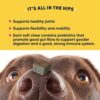 GoodGood Hip + Joint Dog Supplements; Supports Healthy Hips and Joints, Flexibility, and Mobility; Chewable Soft Treats with Glucosamine, MSM, and Turmeric; Probiotics; 90 Natural Flavor Chews