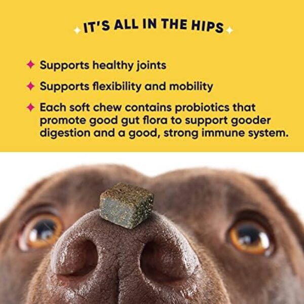 GoodGood Hip + Joint Dog Supplements; Supports Healthy Hips and Joints, Flexibility, and Mobility; Chewable Soft Treats with Glucosamine, MSM, and Turmeric; Probiotics; 90 Natural Flavor Chews