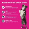 GoodGood Hip + Joint Dog Supplements; Supports Healthy Hips and Joints, Flexibility, and Mobility; Chewable Soft Treats with Glucosamine, MSM, and Turmeric; Probiotics; 90 Natural Flavor Chews