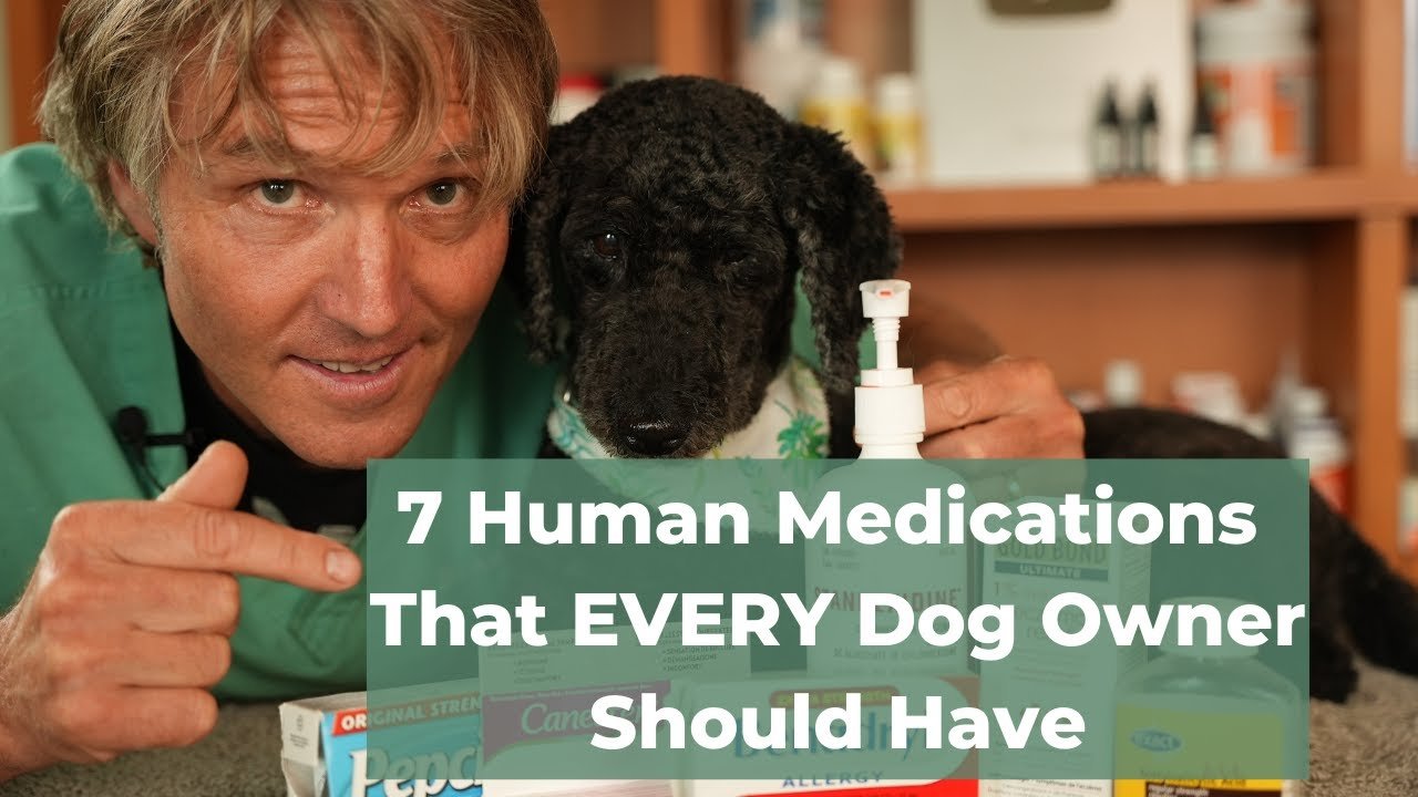 Barky Supplies Expert Tips 7 OTC Human Medications Safe and Effective for Dogs Barky Supplies Expert Tips