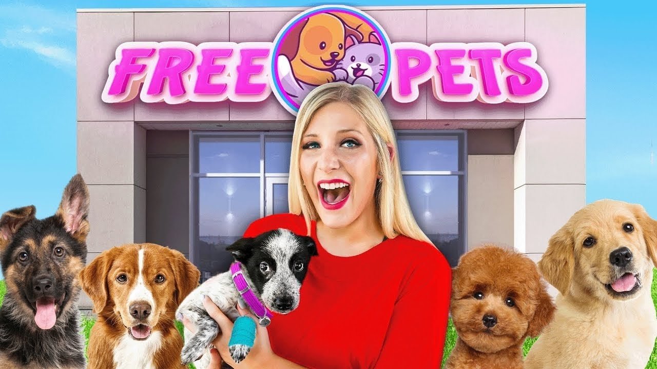 Barky Supplies Expert Tips I Opened a FREE Pet Store! Barky Supplies Expert Tips