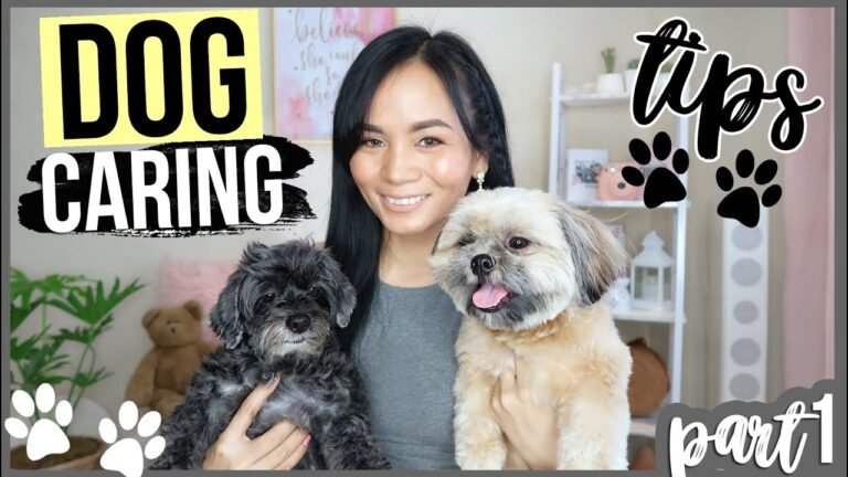 Happy Dog Hacks & Tips