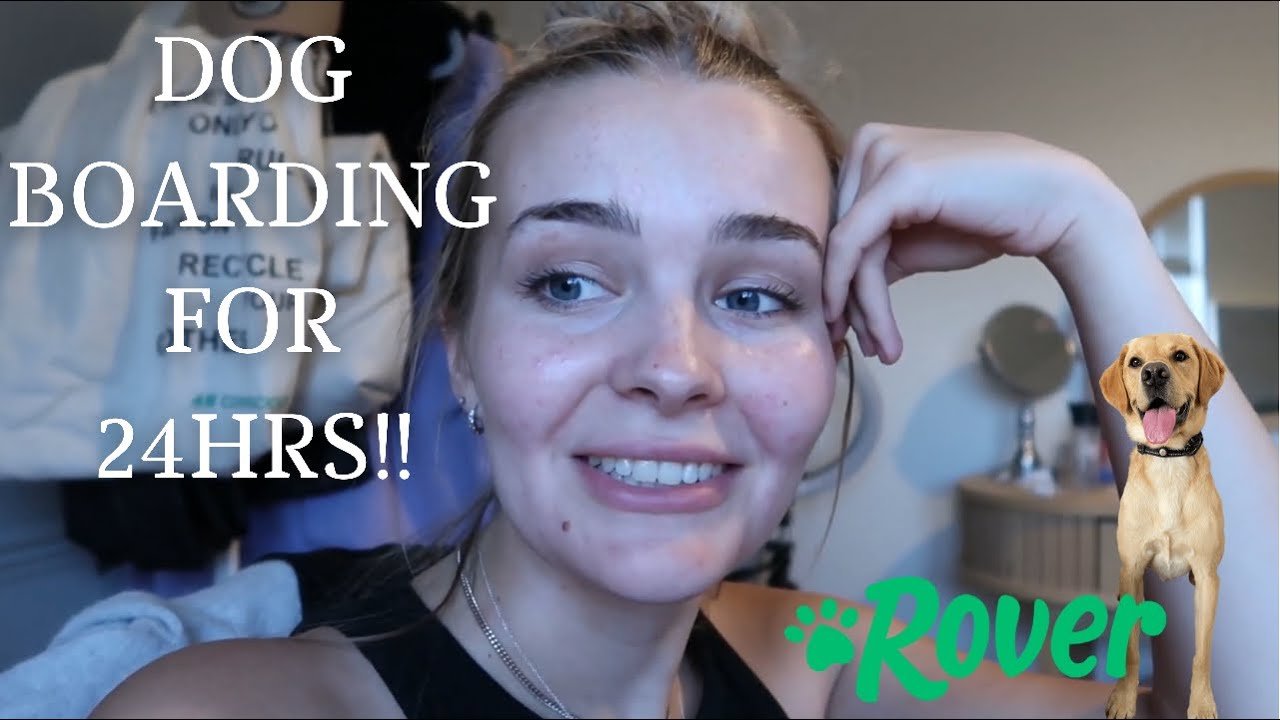 Barky Supplies Expert Tips