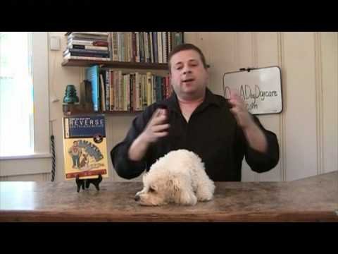 1697353037 hqdefault Barky Supplies Expert Tips