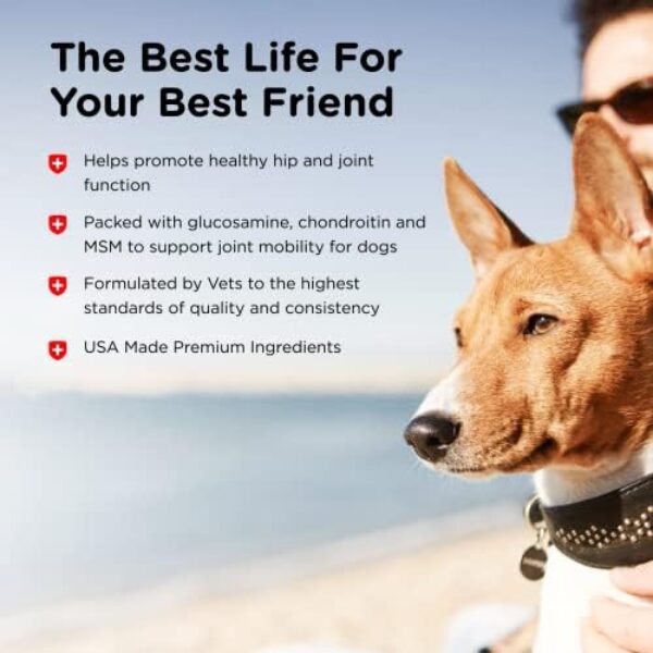 Nutri-Vet Hip & Joint Chewable Dog Supplements | Formulated with Glucosamine & Chondroitin for Dogs | 120 Count