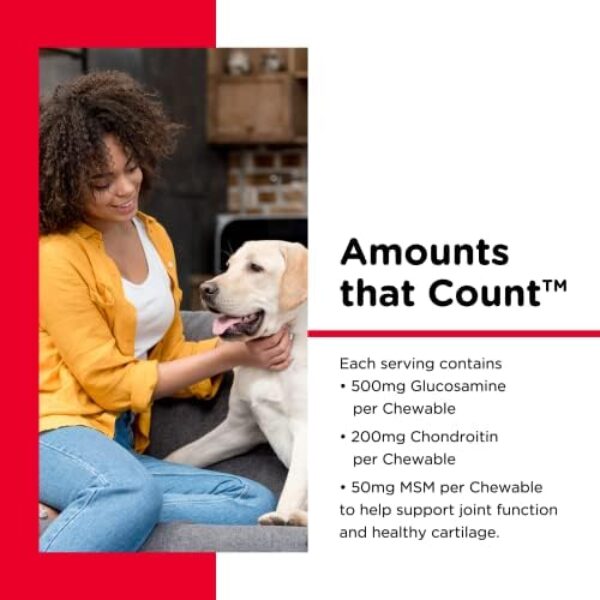 Nutri-Vet Hip & Joint Chewable Dog Supplements | Formulated with Glucosamine & Chondroitin for Dogs | 120 Count