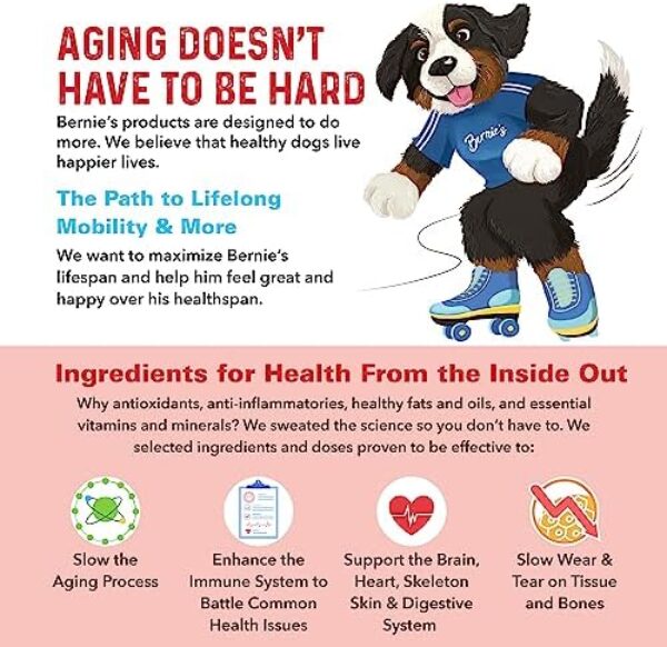 Bernie's Marvelous Mobility - Daily Dog Hip and Joint Supplement - Maintains Overall Well Being & Promotes a Healthy Immune System (90 Count)