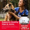 Nutri-Vet Hip & Joint Chewable Dog Supplements | Formulated with Glucosamine & Chondroitin for Dogs | 120 Count