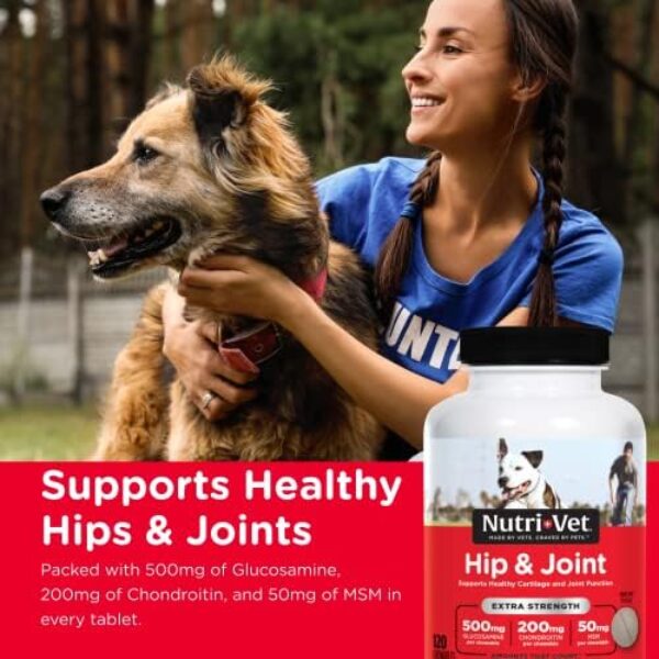 Nutri-Vet Hip & Joint Chewable Dog Supplements | Formulated with Glucosamine & Chondroitin for Dogs | 120 Count