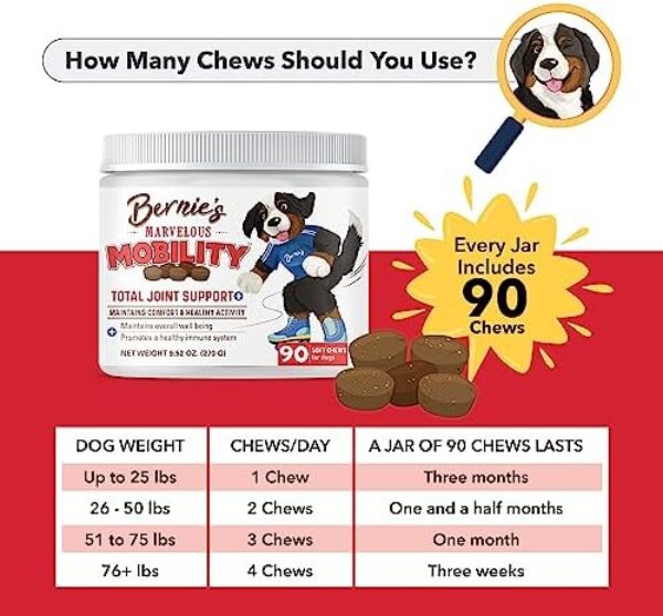 Bernie's Marvelous Mobility - Daily Dog Hip and Joint Supplement - Maintains Overall Well Being & Promotes a Healthy Immune System (90 Count)