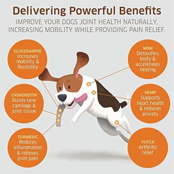 51rk3IvWeAL._AC_.jpg Glucosamine for Dogs - Hip and Joint Supplement Dogs - Glucosamine Chondroitin for Dogs with MSM, Hemp, Turmeric & Omega 3 - Dog Hip and Joint Supplement - Dog Pain Relief, 120 Soft Dog Joint Chews