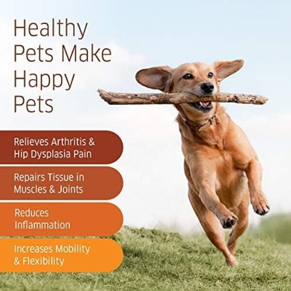 51xq7Fp-i2L._AC_.jpg Glucosamine for Dogs - Hip and Joint Supplement Dogs - Glucosamine Chondroitin for Dogs with MSM, Hemp, Turmeric & Omega 3 - Dog Hip and Joint Supplement - Dog Pain Relief, 120 Soft Dog Joint Chews