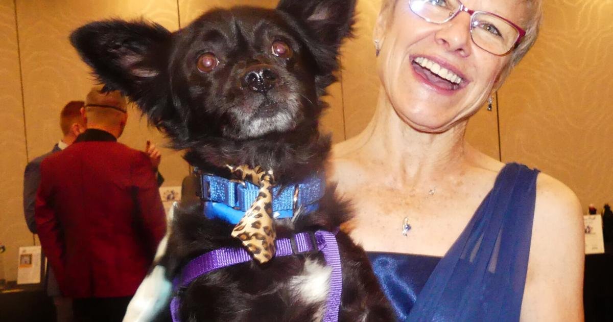 6520663c43ea0.image Barky Supplies Expert Tips