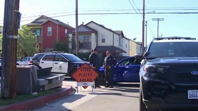 Barky Supplies Expert Tips Hit-and-run driver who killed woman walking dog in North Hills sought – NBC Los Angeles Video 31 Barky Supplies Expert Tips