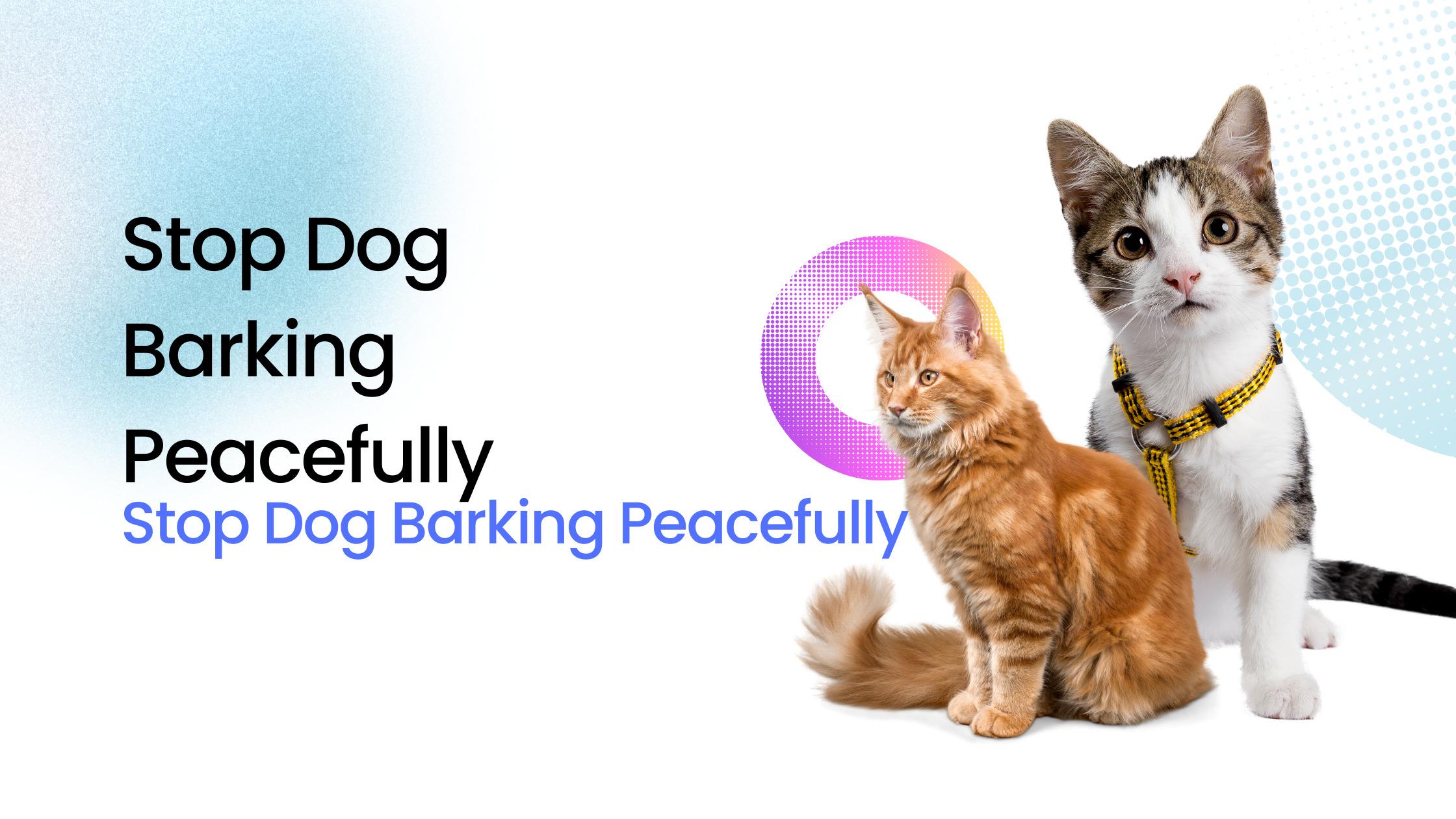 Barky Supplies Expert Tips Stop Dog Barking: Silence, Please! Tips for Peaceful Living Stop Dog Barking Peacefully