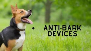 Barky Supplies Expert Tips Stop Dog Barking: Silence, Please! Tips for Peaceful Living Stop Dog Barking Peacefully