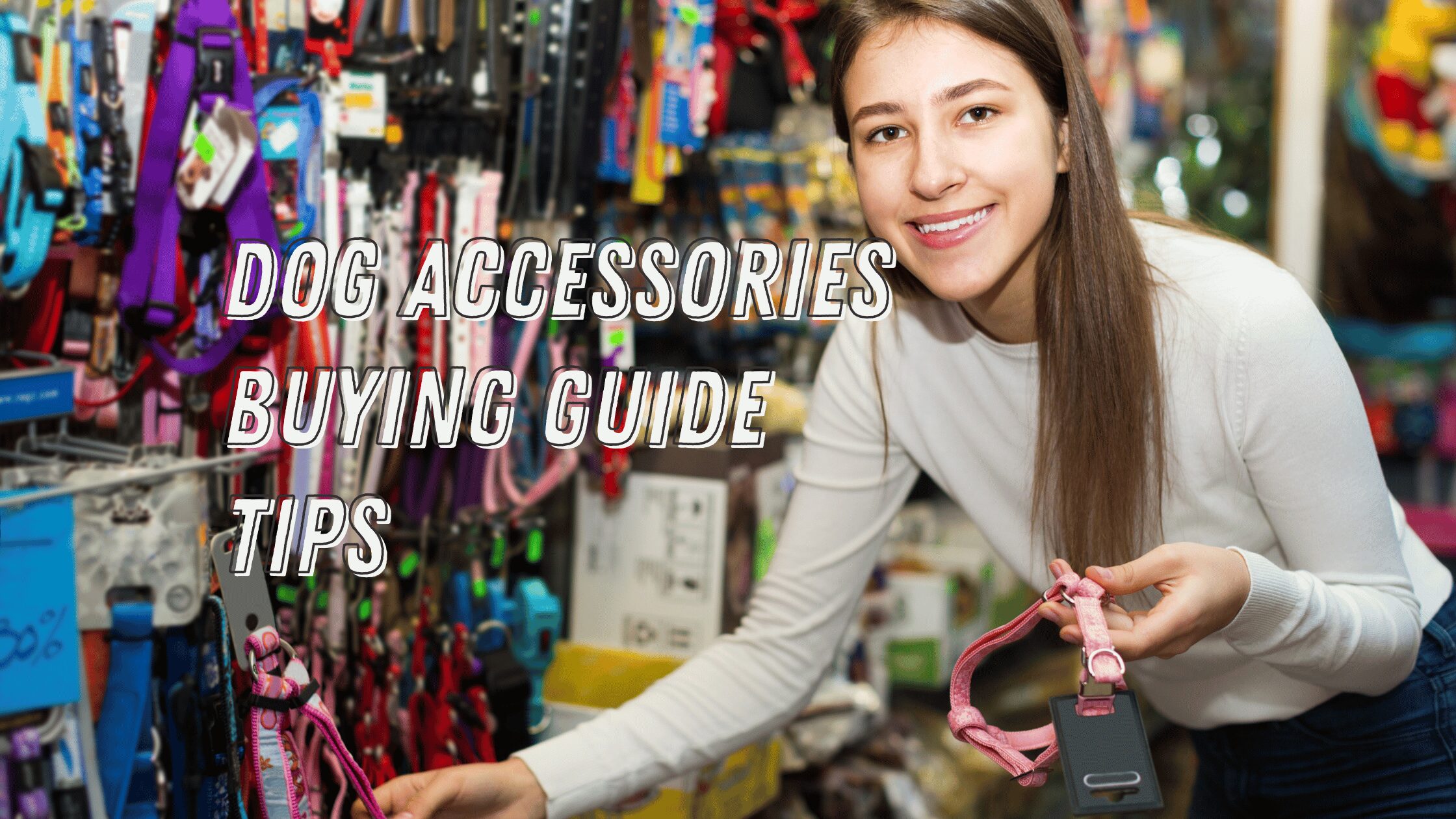 Barky Supplies Expert Tips Dog Accessories Buying Guide: Unleashing the Best Tips Dog Accessories Buying Guide Tips