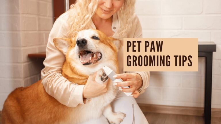 Pet Paw Grooming Tips
