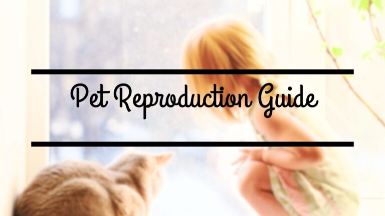 Pet Reproduction Guide